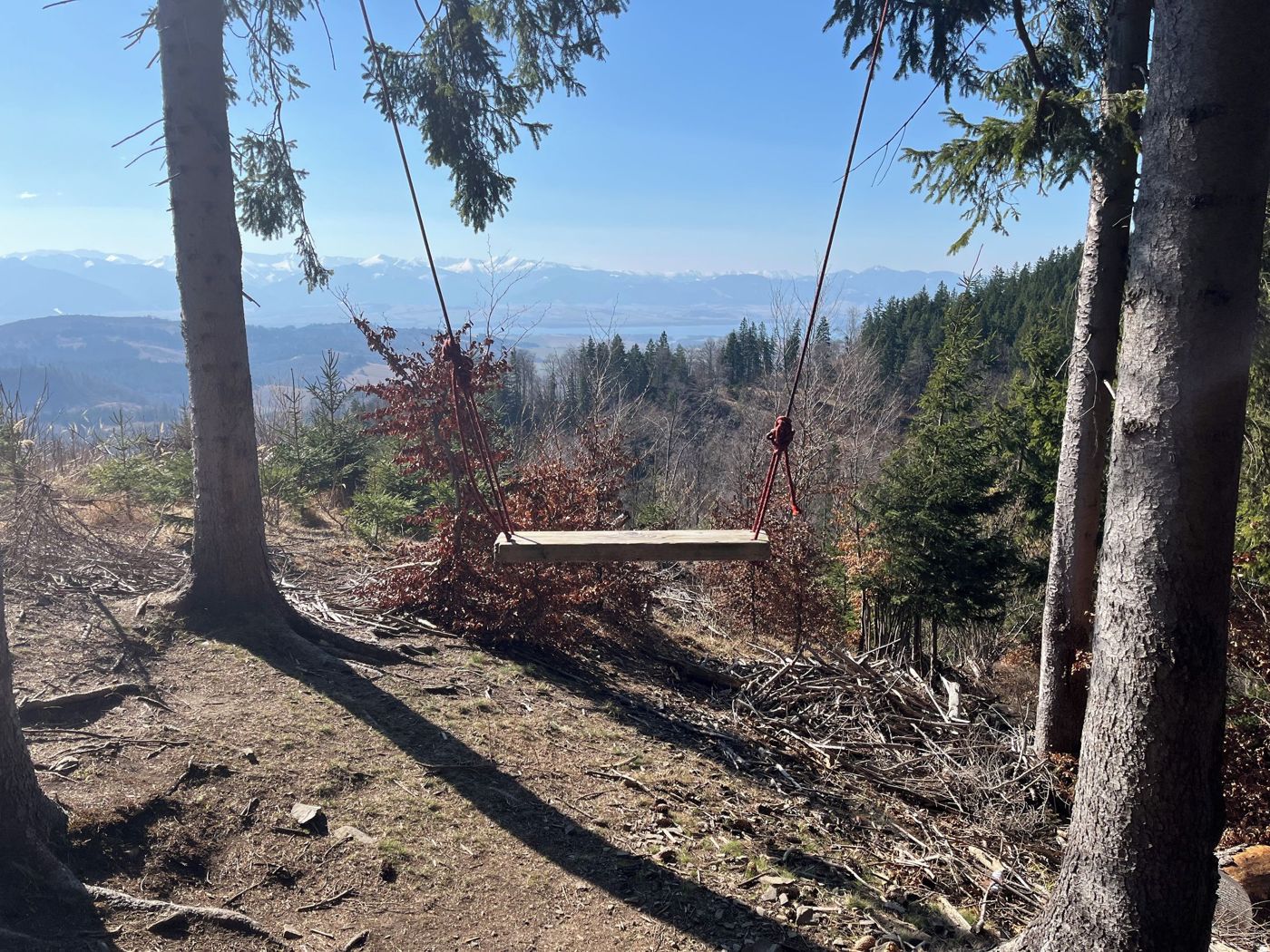 Columpio de madera con cuerdas entre abetos con vistas al valle y montañas nevadas
